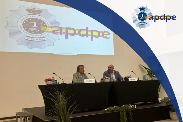 Elecciones en línea del consejo directivo APDPE