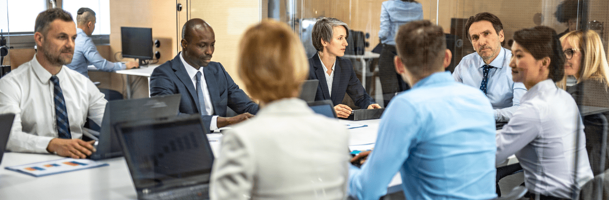 Consejos de administración y vigilancia